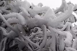Băng tuyết Sa Pa 18.12