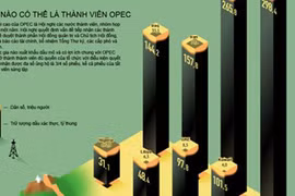 Toàn cảnh về cấu trúc sức mạnh của OPEC