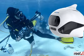 Biki robot Trung Quốc