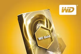 Ổ cứng WD Gold được thiết kế cho các hệ thống máy chủ, trung tâm dữ liệu với tần suất hoạt động liên tục, khối lượng dữ liệu lớn.