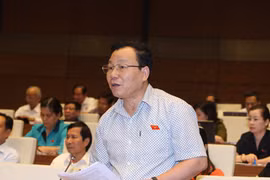 Đại biểu Trịnh Ngọc Thạch (Hà Nội) chất vấn thành viên Chính phủ.