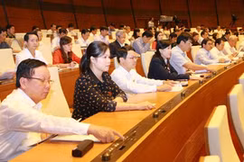 Việc bấm nút thông qua Luật Biểu tình có thể sẽ không thuộc về Quốc hội khóa 13