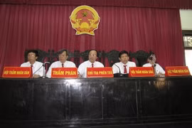 Lao động của thẩm phán rất đặc thù và chịu trách nhiệm trước xã hội thì phải có lương đặc thù - ảnh phiên tòa tái thẩm xử ông Nguyễn Thanh Chấn 
