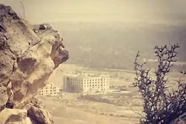 Lực lượng Tigers và đồng minh tấn công Khu vườn Palmyra