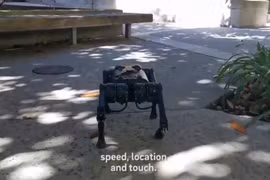 Robot 4 chân chạy trong môi trường thực tế. Ảnh Video Science X