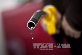 Thị trường dầu hiện vẫn trong tình trạng dư thừa nguồn cung. Ảnh: AFP/TTXVN