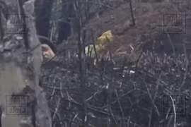 Ảnh minh họa từ video WarGonzo