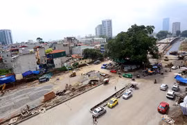 Đường hơn 6.000 tỷ đồng 'né' cây đa cổ thụ