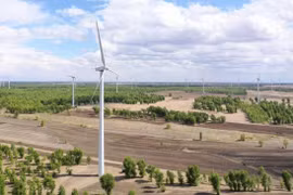 Một trang trại điện gió Trung Quốc. Ảnh SCMP.