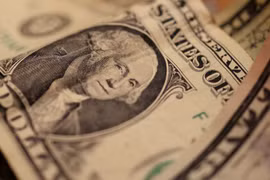 Những đồng dollar - ảnh minh họa Sputnik