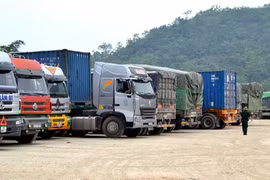 Xe chở gạo nằm chờ nhiều ngày qua tại khu vực biên giới tỉnh Lào Cai. Ảnh:Thanh Tuấn
