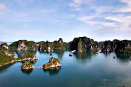 Ảnh minh họa. Nguồn Internet