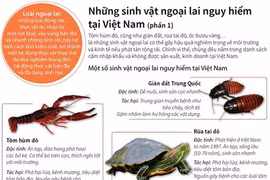 Những sinh vật ngoại lai gây nguy hiểm cho môi trường Việt Nam. (Nguồn: TTXVN)