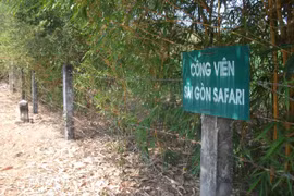 Nơi được kỳ vọng là Công viên sinh thái lớn nhất Việt Nam giờ vẫn bỏ hoang