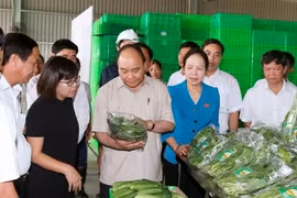 Ảnh minh họa. Nguồn Internet