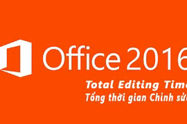 Bạn đã làm việc trên Word/PowerPoint trong bao lâu?