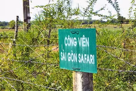 Ảnh minh họa. Nguồn Internet