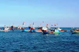 Ảnh minh họa. Nguồn Internet