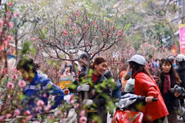 Hình minh họa. Nguồn: ĐSPL 