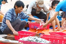 Ảnh minh họa. Nguồn Internet