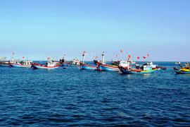 Ảnh minh họa. Nguồn Internet