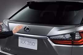 Xe Luxus RX được đăng ký biển số thành xe PEUGEOT (Ảnh minh họa)