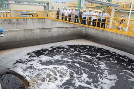 Hệ thống xử lý nước thải của nhà máy Formosa.