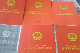Ảnh minh họa. Nguồn Internet