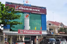 Ảnh minh họa. Nguồn internet