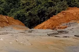 Hiện trường vụ việc