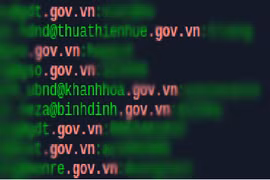 CMC Infosec thực hiện search đơn giản các tổ chức có miền .gov.vn. Ảnh: CMC.