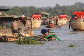 Ảnh minh họa. Nguồn Internet