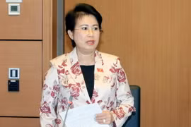 Bà Phan Thị Mỹ Thanh - Ảnh: Phạm Kiên 