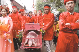 Ảnh minh họa