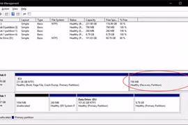 Phân vùng Recovery Partition.