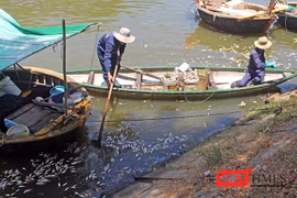 Tình trạng ô nhiễm tại sông Phú Lộc (Đà Nẵng) tiếp diễn và kéo dài suốt thời gian qua gây bức xúc trong dư luận