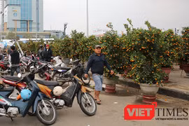Mưa kéo dài, kinh doanh khó khăn, sáng 25/1, Chủ tịch UBND TP Đà Nẵng Huỳnh Đức Thơ quyết định giảm giá 50% tiền thuê mặt bằng bán hoa cho các tiểu thương.