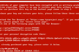 Khóa giải mã giúp giải cứu dữ liệu cho người dùng nhiễm Petya không hiệu quả với biến thể NotPetya.