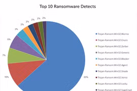 Các vụ tấn công của WannaCry và ExPert gần đây đã chứng minh cho nhiều doanh nghiệp thấy ảnh hưởng của mã độc tống tiền. 