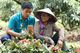 Mỗi hộ gia đình sẽ tạo gian hàng và chủ động đăng bán các sản phẩm trên sàn thương mại điện tử