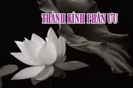 Ảnh minh hoạ