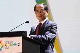 Bộ trưởng Bùi Thanh Sơn đánh giá, trong bối cảnh COVID19, thu hút FDI vẫn duy trì kết quả khả quan, phản ánh niềm tin của giới đầu tư quốc tế đối với Việt Nam.