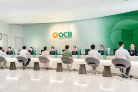 OCB liên tiếp lọt Top nhà tuyển dụng được yêu thích nhất năm 2024 