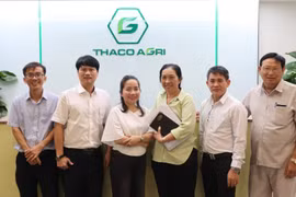 THACO AGRI phát triển chuỗi cung ứng nguyên liệu thức ăn bền vững cho bò