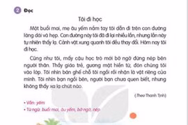 Gay gắt cuộc tranh luận về "rút gọn" văn bản gốc làm ngữ liệu sách giáo khoa