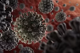 Nhiều người lo lắng về khả năng sống của virus corona chủng mới trên các bề mặt bị nhiễm (Ảnh: WHO)