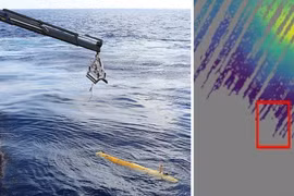 Một nhà khoa học tin rằng ông đã tìm thấy xác máy bay MH370 đã mất tích 11 năm. Ảnh: Getty.