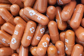 Thuốc điều trị COVID-19 molnupiravir có dạng viên nhộng (Ảnh: CNN)