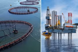 Cơ sở này có khả năng hoạt động trong điều kiện biển động. Ảnh: IE.