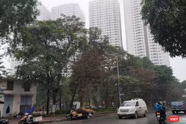 HH Linh Đàm cũng là một trong những khu nhà ở xã hội khá lớn ở Hà Nội. Anh minh họa: Anh Lê